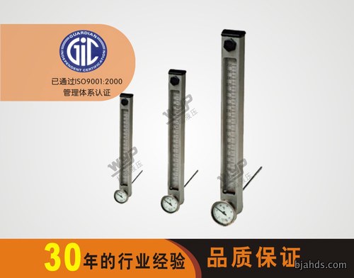 CYW-76~500 LEVEL GAUGE SERIES