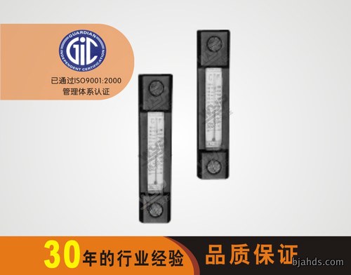 NYWZ LEVEL GAUGE SERIES