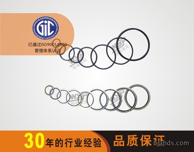 JB982-77SEMIMETALLIC GASKET